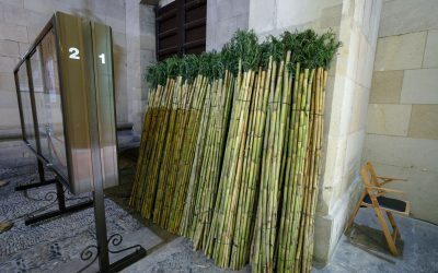 Amplio dispositivo y 15.000 cañas con romero para el regreso de la Romería