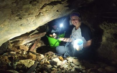 El Club Gondoleras realiza una acción medioambiental en la Cova del Llop