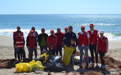 El Campello, atractivo empresarial para lograr los Objetivos de Desarrollo Sostenible