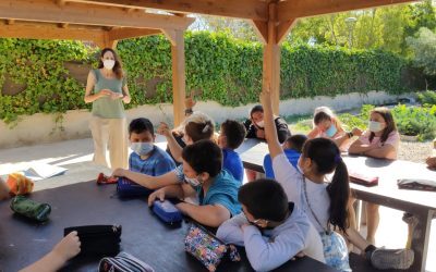 Alumnos de 4 colegios campelleros recibirán formación en hábitos sostenibles