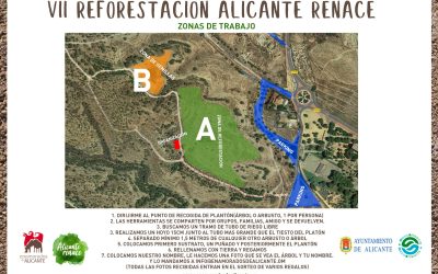 Medio Ambiente y ‘Enamorados de Alicante’ plantarán mil árboles en Orgegia