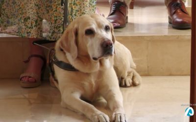 La ONCE programa diferentes actividades para mostrar su labor social