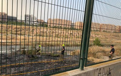 La Policía Local de Alicante requisa más de 5.000 petardos que se vendían ilegalmente