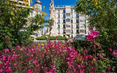 El Ayuntamiento se manifiesta sobre las grietas de la plaza de los Luceros