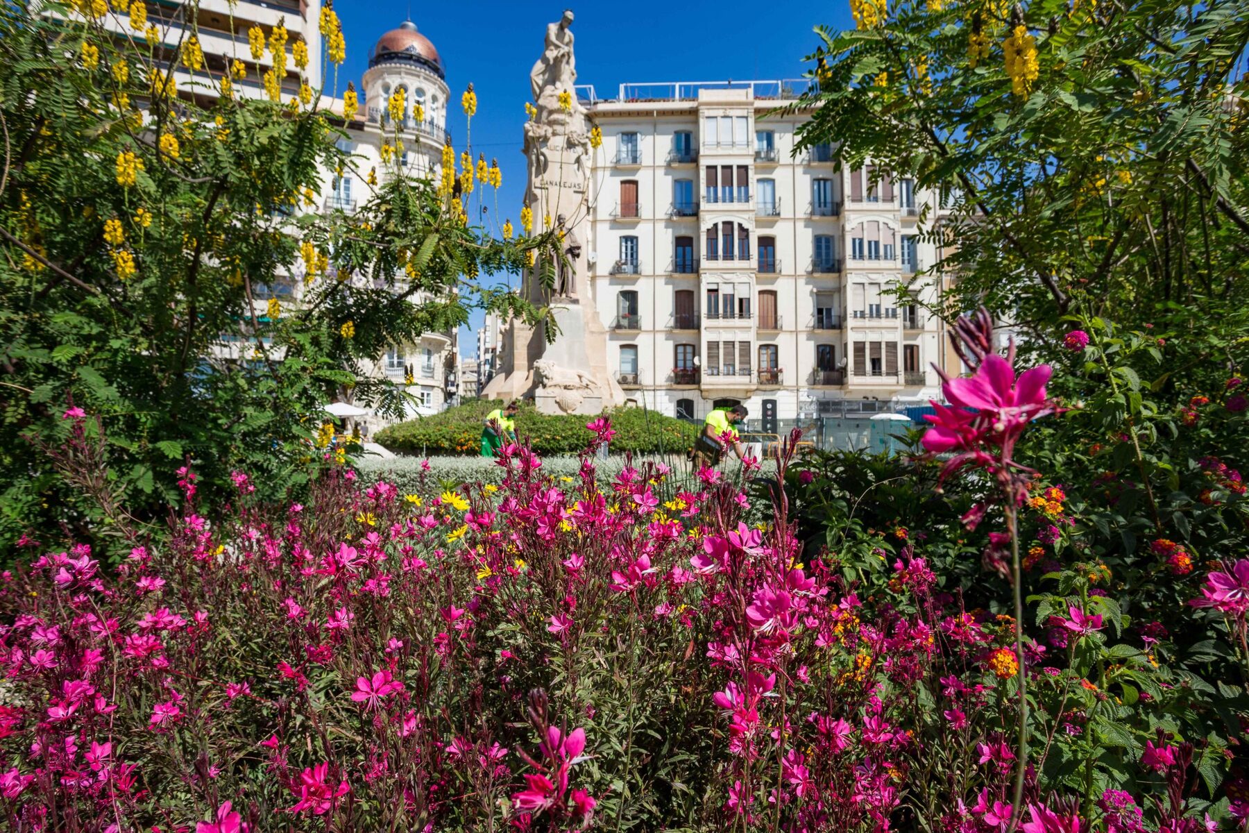 Alicante amplía su arquitectura floral a los jardines de Soto, La Explanada y la Lonja