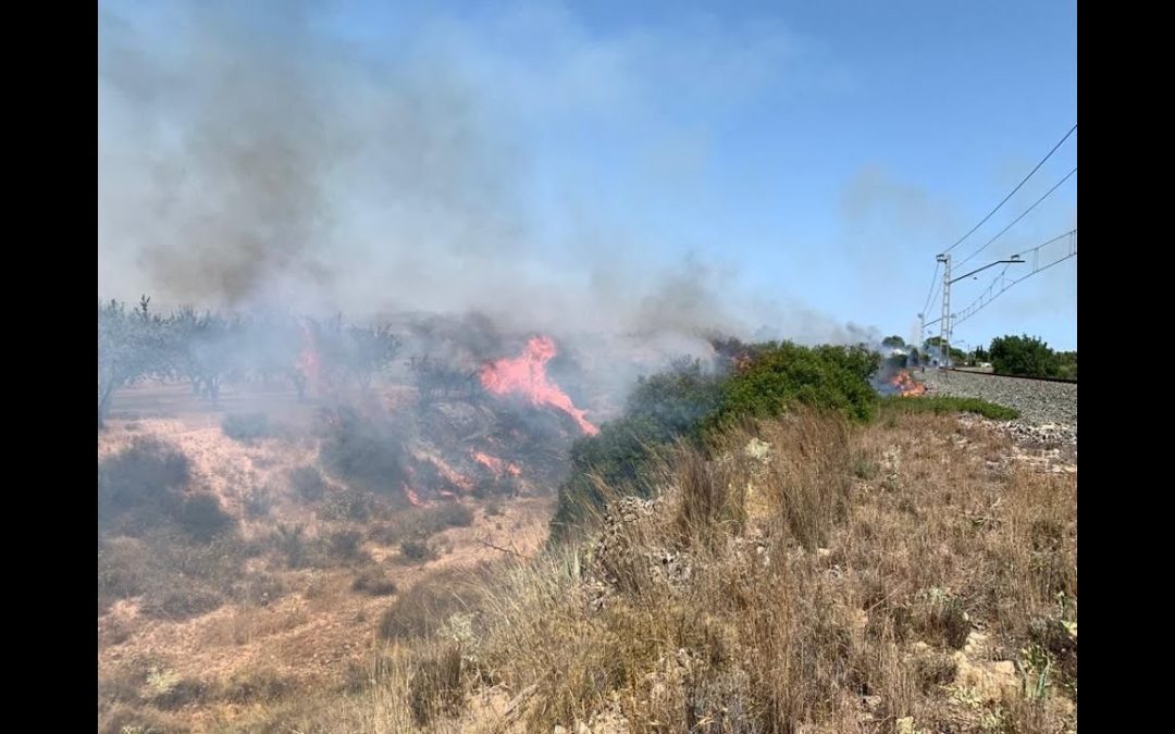 Los bomberos del Speis y de la Diputación extinguen un incendio en La Cañada