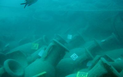 Los documentales La Caja Vacía y El pecio Bou Ferrer de la Vila Joiosa ganan los Premios DOCS Alicante
