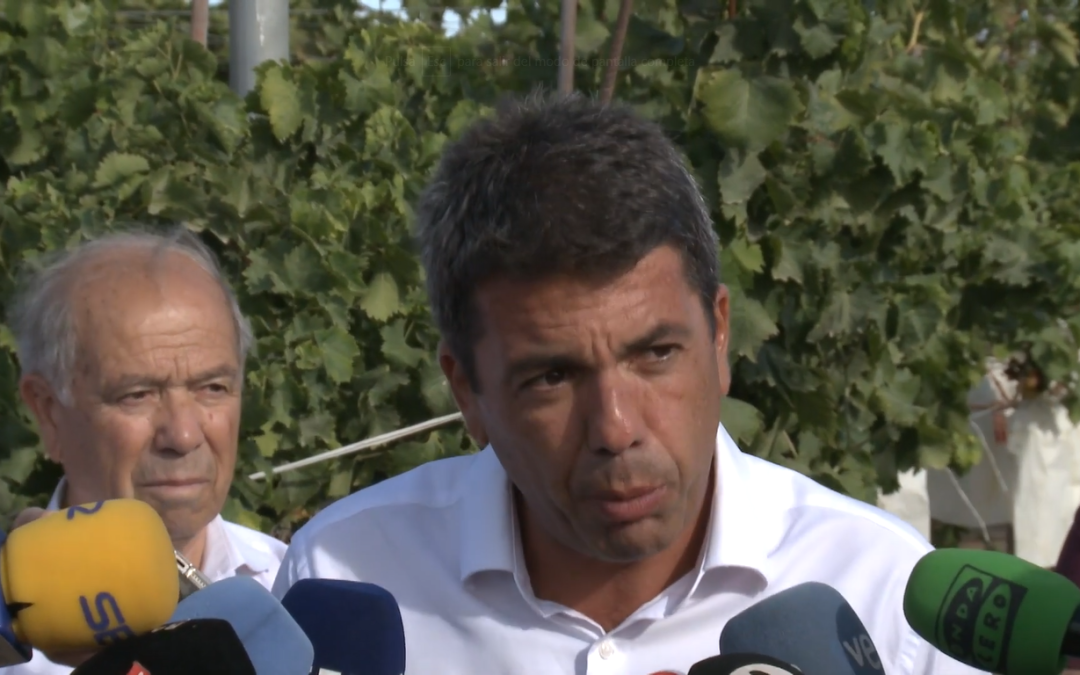 El PP valenciano considera que la reforma fiscal de Puig llega tarde y mal