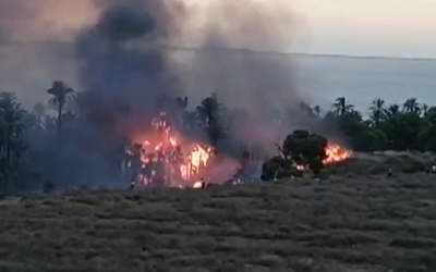 Un incendio en El Palmeral de Alicante alerta a bomberos y vecinos