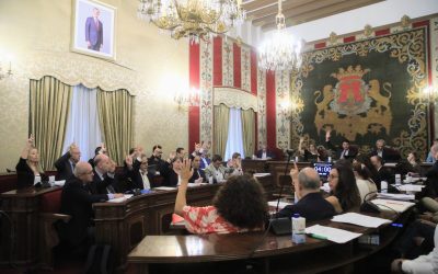 Alicante exige compromiso con la AESIA, las residencias y más ayudas por incendios