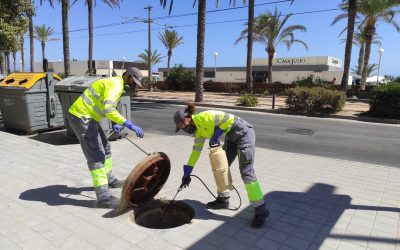 Alicante mantiene el refuerzo contra plagas de roedores y cucarachas por el calor