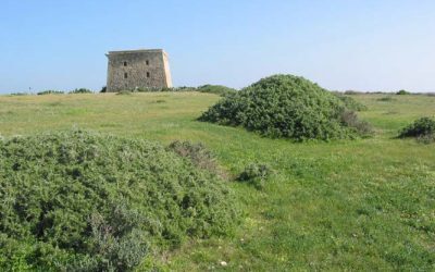 El campo de la isla de Tabarca pasa a ser en su totalidad de titularidad pública