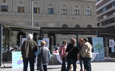 ADACEA busca visibilizar el Daño Cerebral Adquirido en su Día Nacional
