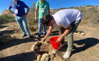 Alicante planta más de un millar de árboles y arbustos en Cala Cantalar