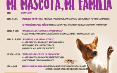 Alicante organiza una jornada para fomentar el cuidado de las mascotas