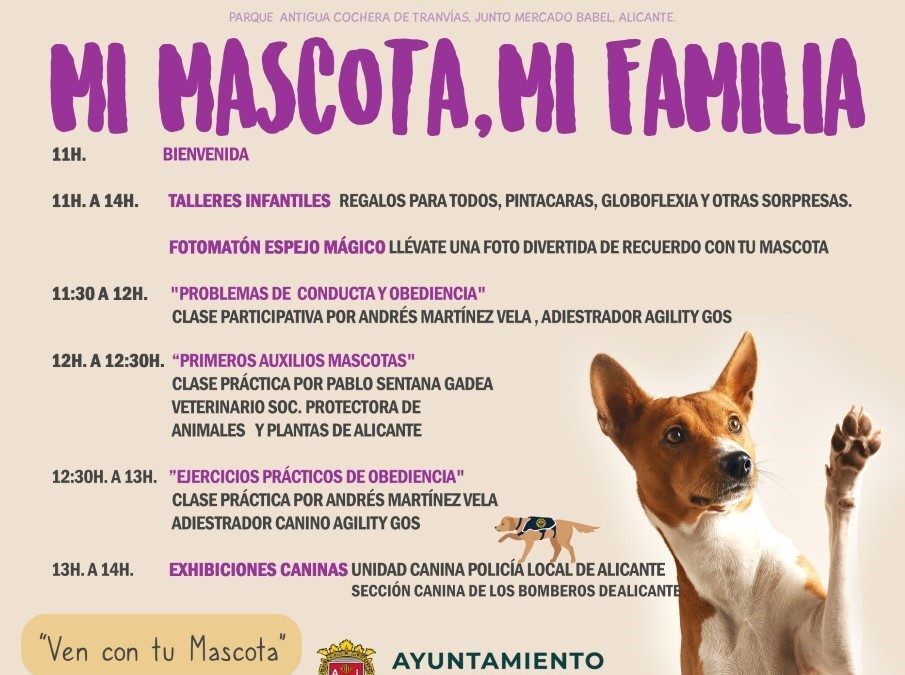 Alicante organiza una jornada para fomentar el cuidado de las mascotas