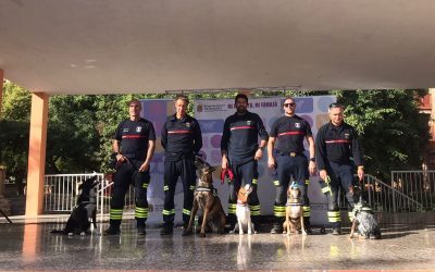 Cientos de personas acuden a la primera jornada de familia y mascotas de Alicante