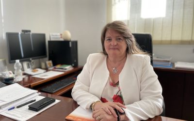 Llopis: “El tripartito está obsesionado con el valenciano y olvida construir colegios”