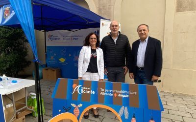 La campaña sobre tenencia de mascotas reúne a más de un millar de  personas