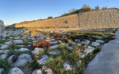 Completada la limpieza del barranco de las Ovejas entre la zona inundada y Vía Parque