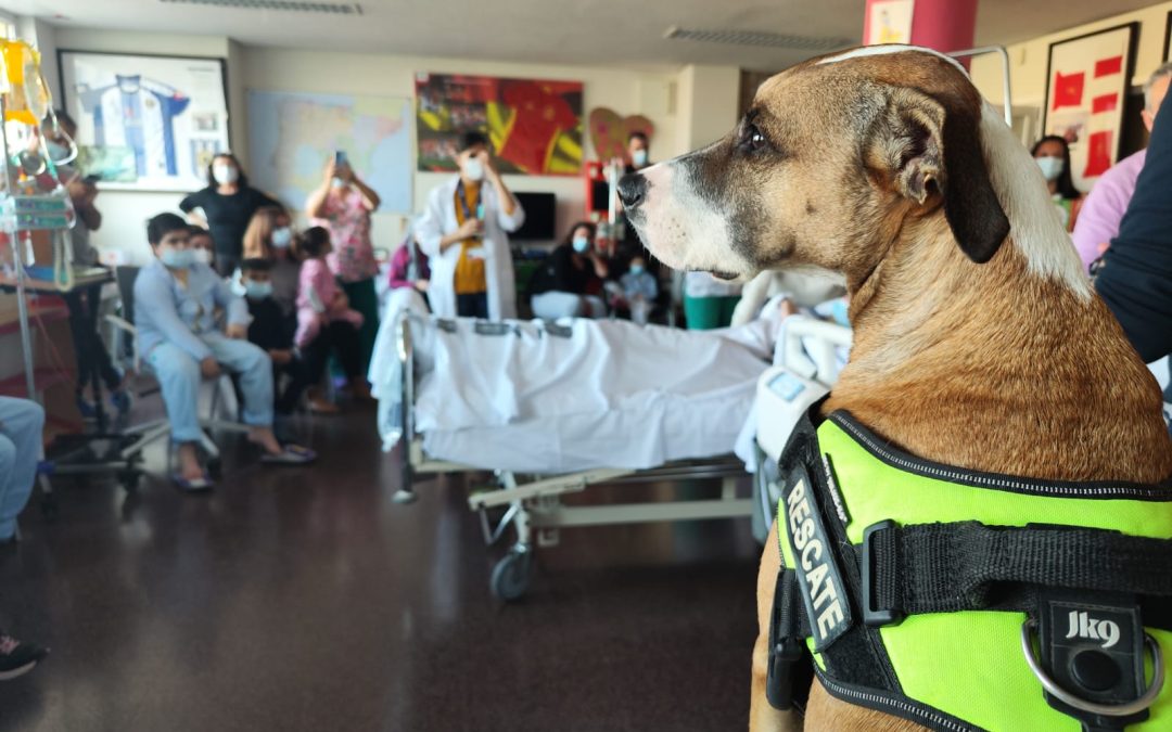La perra de rescate enviada a Turquía visita a los menores del Hospital
