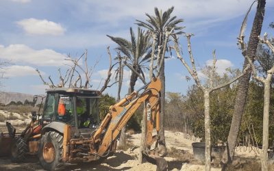 Villar: “El PSOE no se entera y confunde plantas híbridas con invasoras”