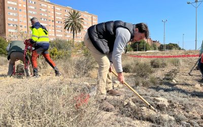 Barcala anima a los alicantinos a cuidar el patrimonio arbóreo alicantino 