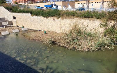 Limpieza Viaria aprovecha la bajamar para desbrozar el barranco de las Ovejas