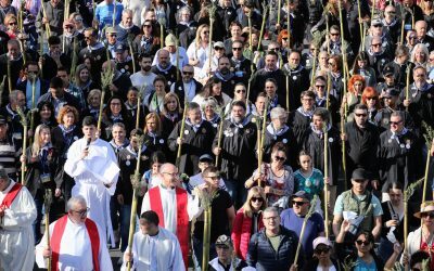 Más de 330.000 personas participan en La Peregrina más multitudinaria