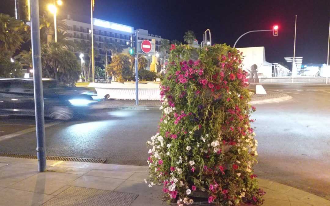 La ciudad se embellece con adornos florales ante la llegada de las fiestas de Fogueres