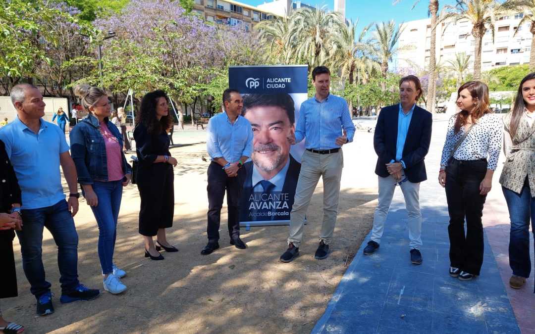 Todos los concejales electos del Ayuntamiento de Alicante