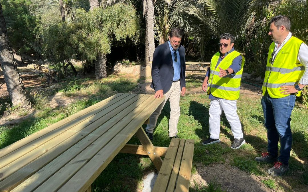 Alicante avanza en las obras de renovación y mejoras del Parque del Palmeral 