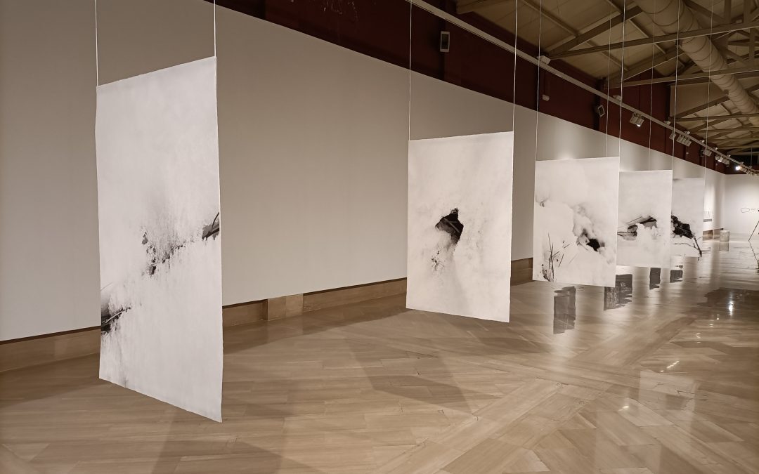 «Transitar lo invisible», de Ignacio Llamas, llega a la Sala Explanada de la Lonja del Pescado