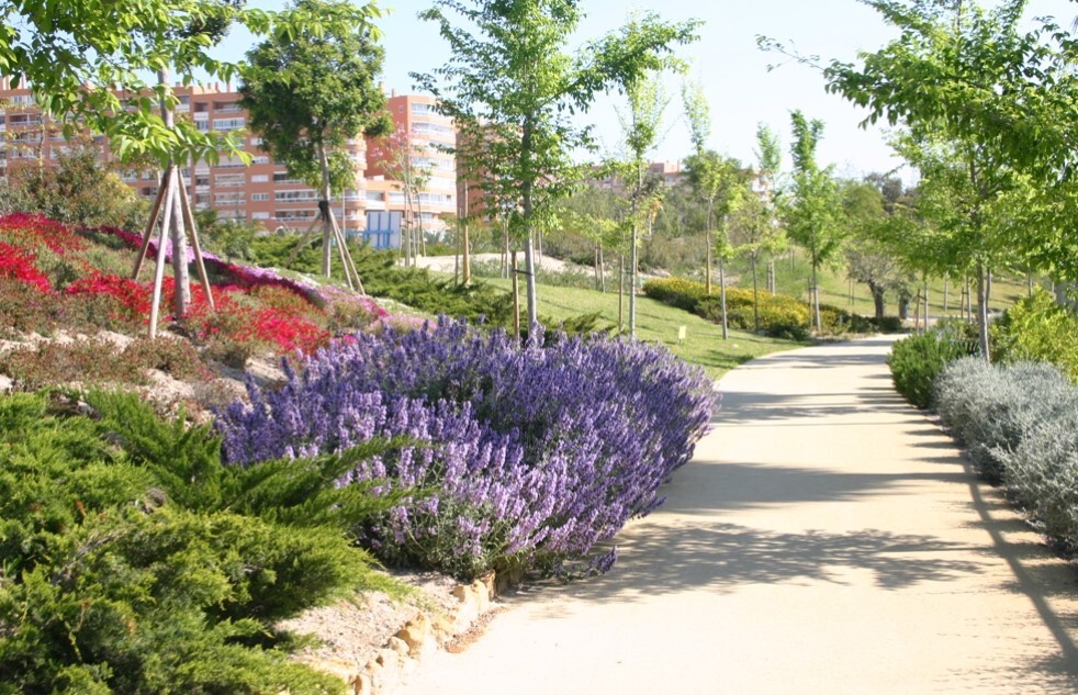 El Ayuntamiento asume el cuidado de cinco mil árboles y 140.000 m² de zonas verdes