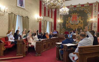 Aplazado el Pleno sobre la organización interna hasta lograr el máximo consenso posible