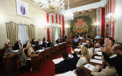 El Pleno rechaza una ley de amnistía y exige la igualdad entre los españoles