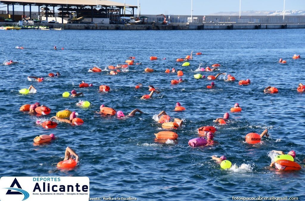 Más de 300 nadadores participan este domingo en la 93ª Vuelta a la Escollera de Alicante