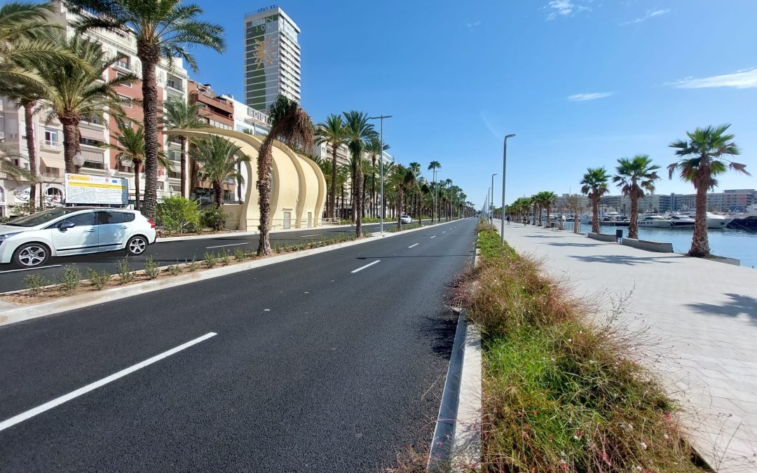 Alicante aumenta el palmeral de la fachada litoral para mejorar el sombraje