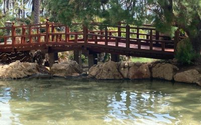 La primera fase de renovación del parque El Palmeral finaliza tras una inversión de 362.000 €