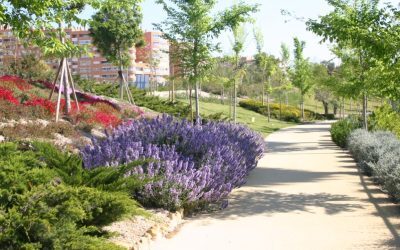 El Ayuntamiento amplia en un millón de euros el contrato para mantener zonas verdes