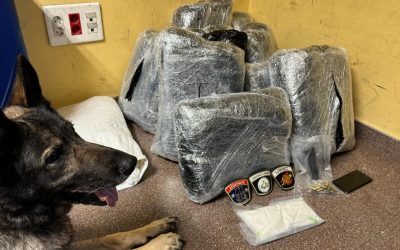 La Policía intercepta otro alijo de 20 kilos de droga con la ayuda del perro Gus