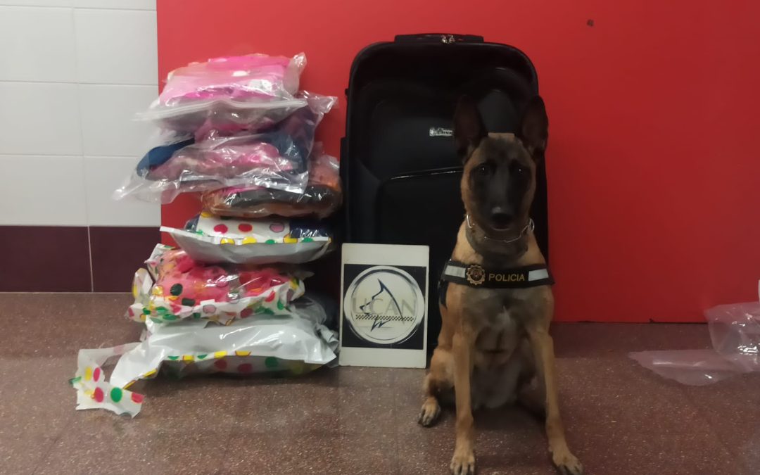 Un perro adiestrado de la Policía Local detecta en un control 11 kilos de marihuana