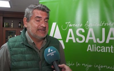 La sequía en la provincia de Alicante amenaza a los agricultores