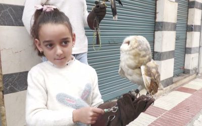 Cientos de animales participan en la bendición por Sant Antoni en El Campello