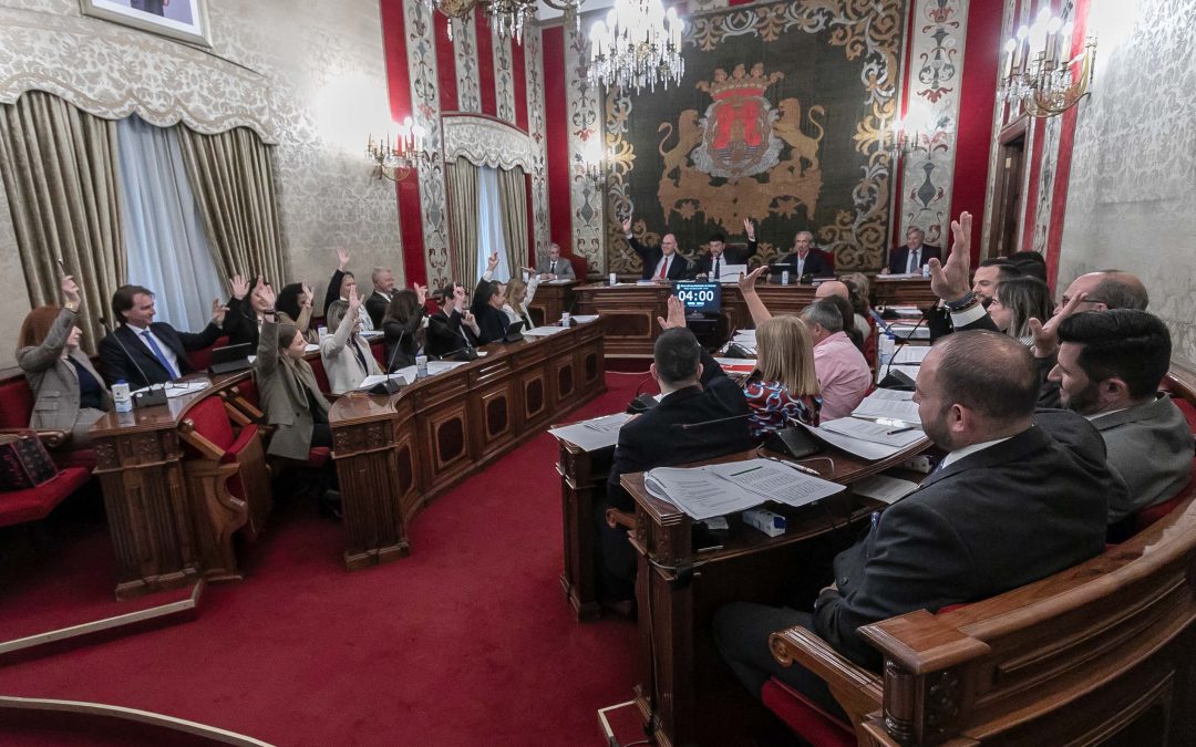 El Pleno exige la segunda pista del aeropuerto y rechaza la discriminación del Gobierno