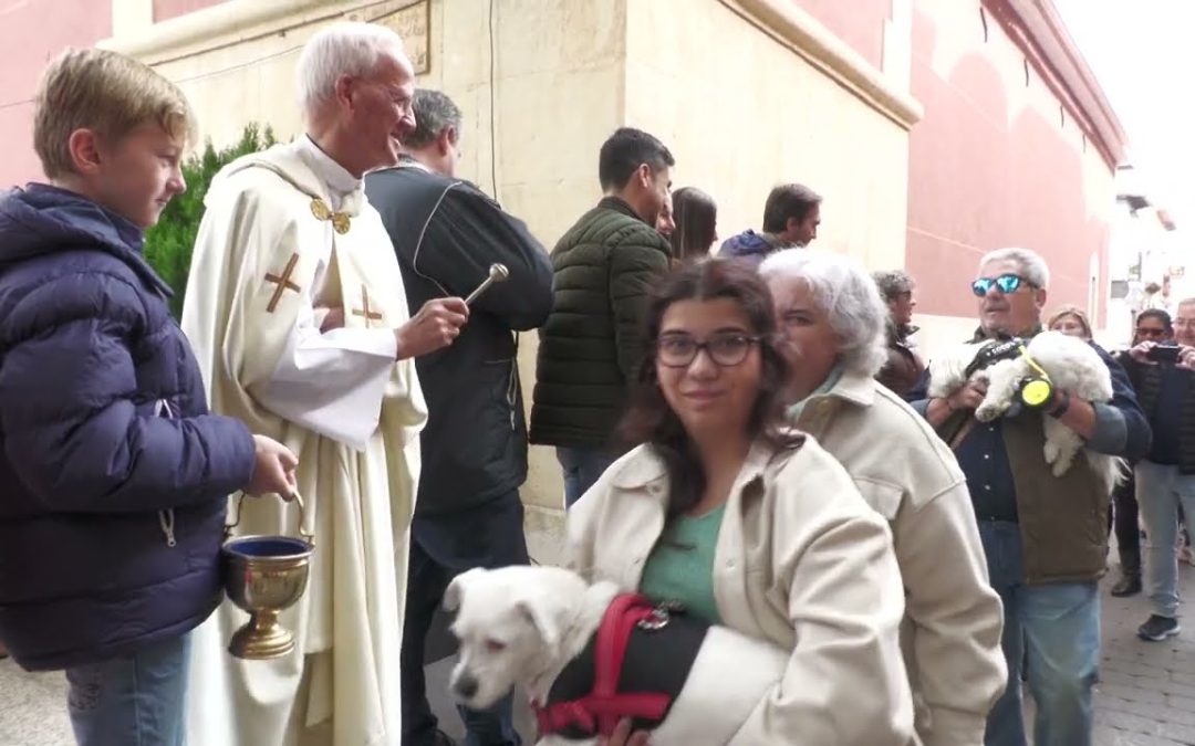 El Porrate de San Antón da inicio a sus tradicionales fiestas en Alicante