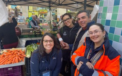 Alicante implanta la recogida de residuos orgánicos en los mercadillos