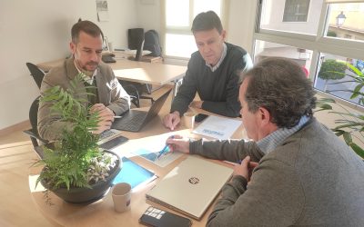 Alicante y Elche comienzan a preparar la primera maratón conjunta para febrero de 2025