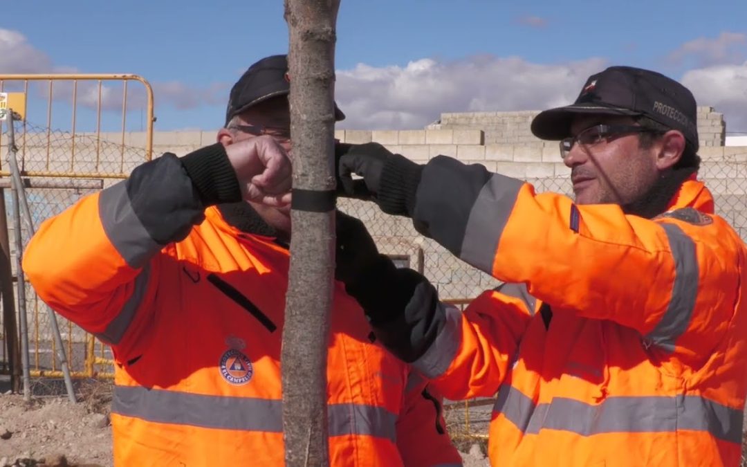 El Campello celebra el Día del Árbol con la plantación de 250 ejemplares