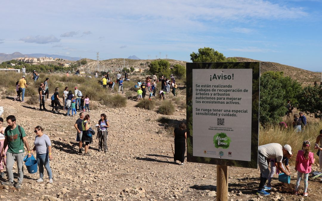 2.000 voluntarios reforestan el Monte Orgegia con ‘Alicante Renace’